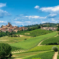 Venez découvrir le PIÉMONT VITICOLE  ROERO, LANGHE ET MONFERRATO
